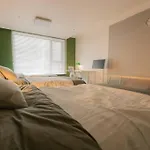 Mirae_Stay 52 New Open 1 Queen + 2 Single Beds